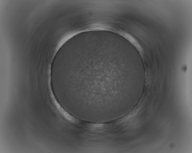 X0000096981431200802151320