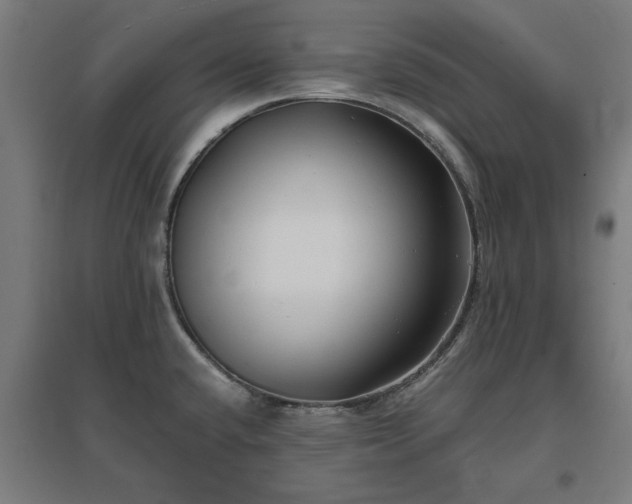 X0000096981432200802151320