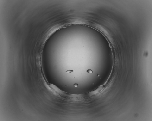 X0000096981433200802151320