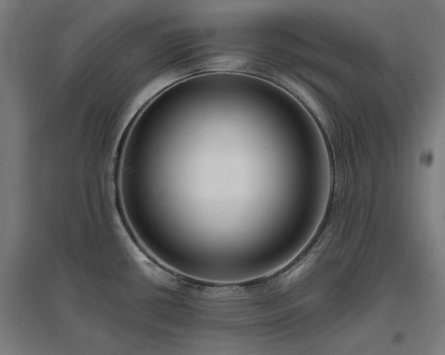X0000096981434200802151320