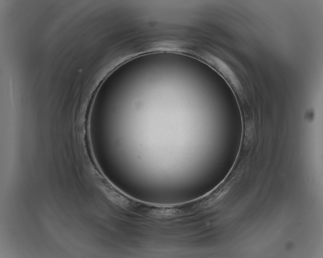 X0000096981435200802151320
