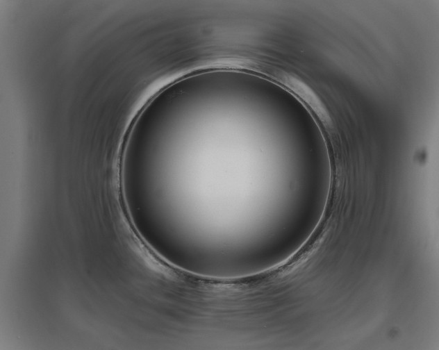 X0000096981436200802151320