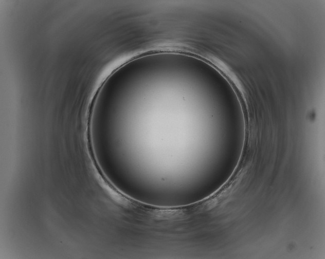 X0000096981437200802151320