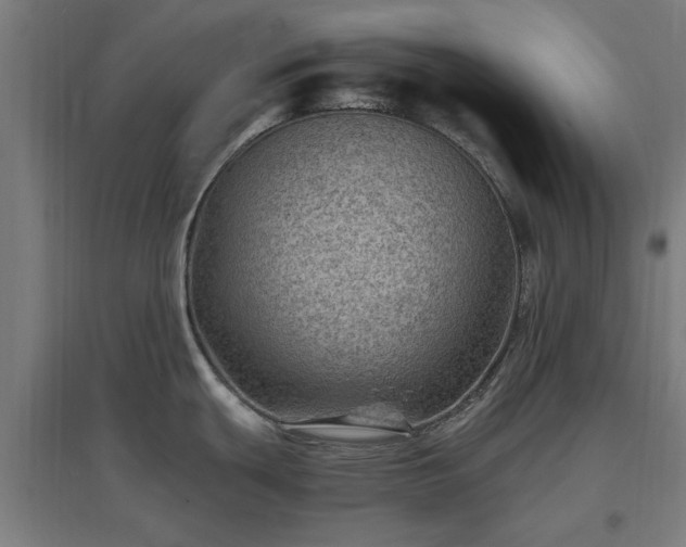 X0000096981439200802151320