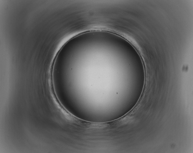 X0000096981440200802151320