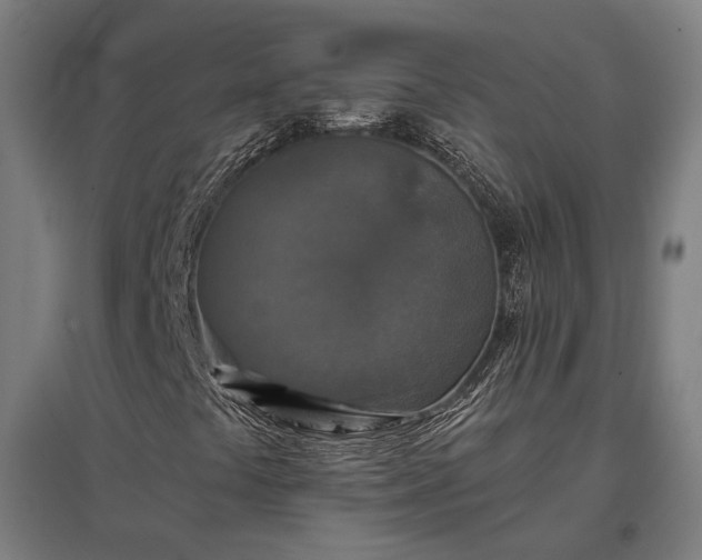 X0000096981441200802151320