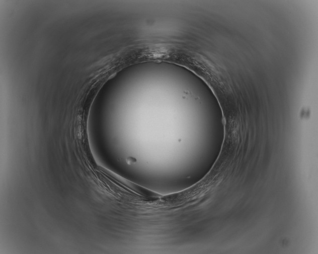 X0000096981442200802151320