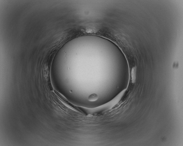 X0000096981443200802151320