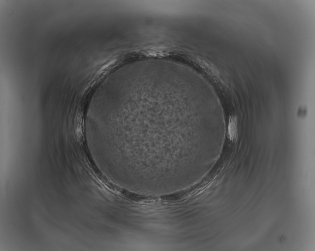 X0000096981444200802151320