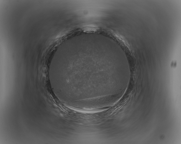 X0000096981445200802151320