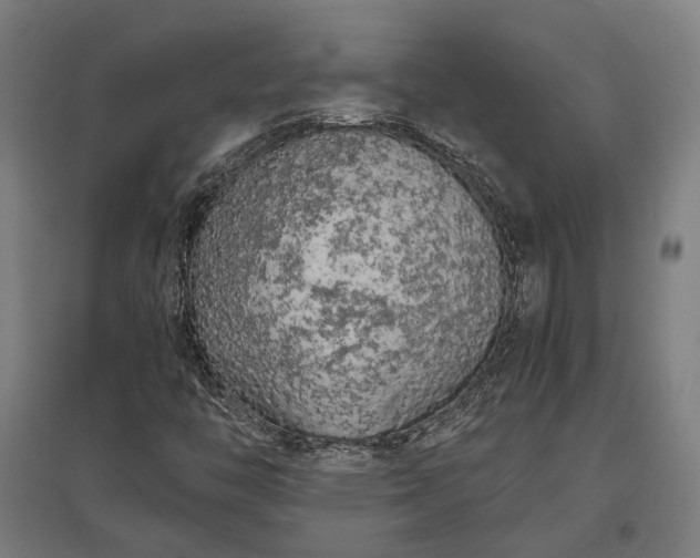 X0000096981446200802151320