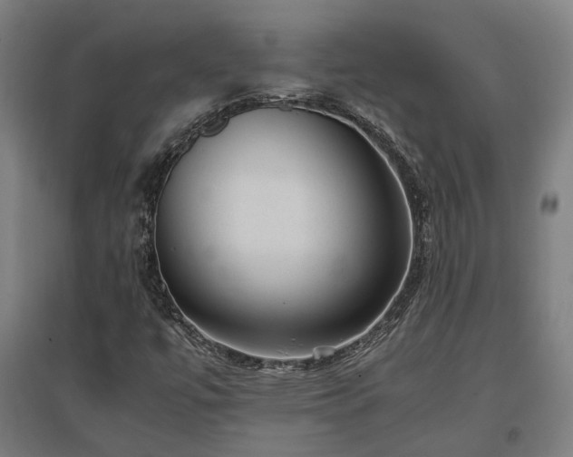 X0000096981447200802151320