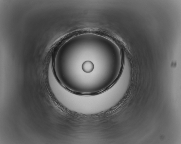 X0000096981448200802151320