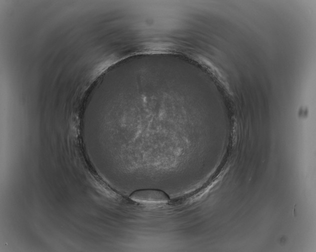 X0000096981449200802151320