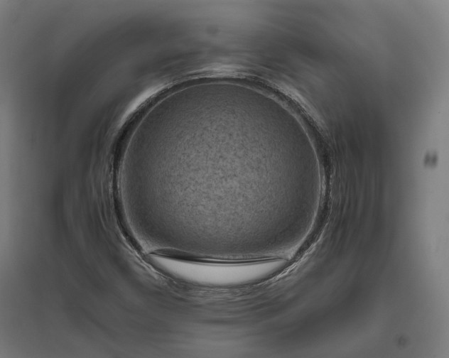 X0000096981450200802151320