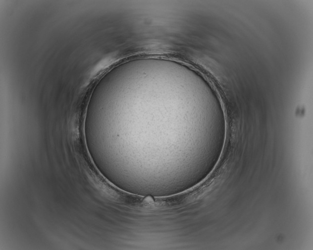 X0000096981451200802151320