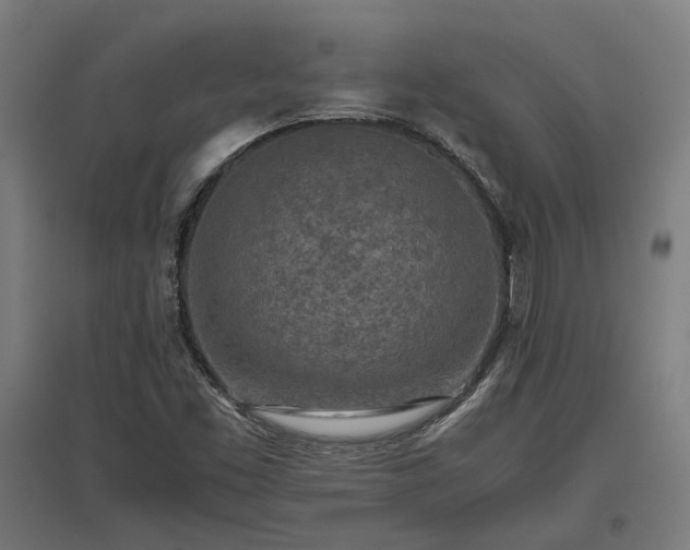 X0000096981453200802151320