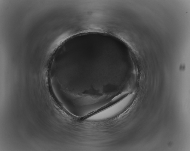 X0000096981455200802151320