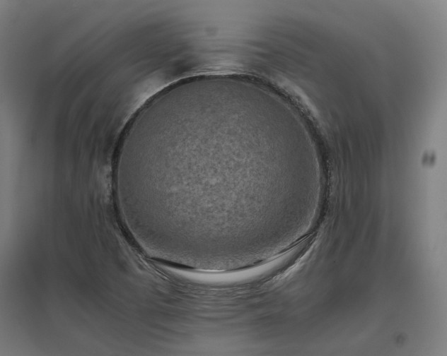 X0000096981457200802151320