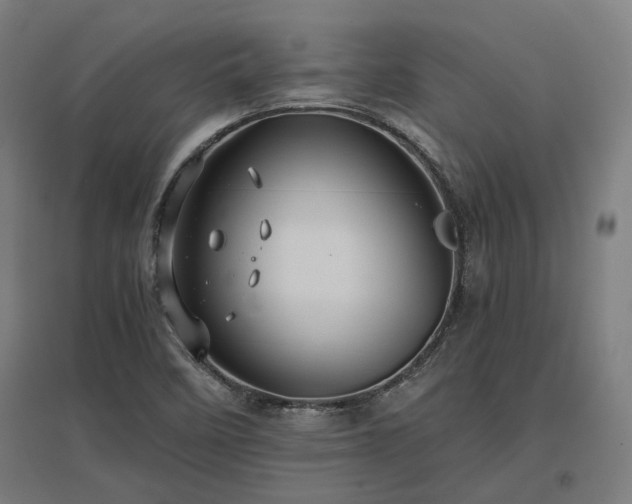X0000096981458200802151319