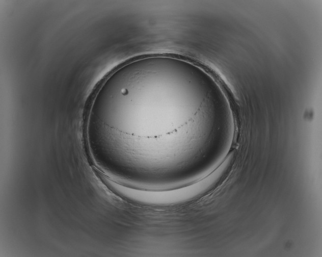 X0000096981460200802151319