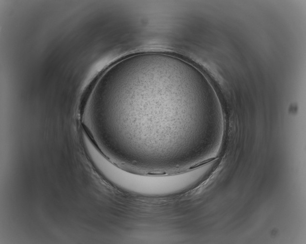 X0000096981461200802151319