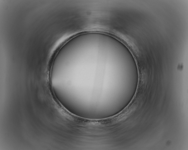 X0000096981462200802151319