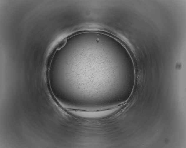 X0000096981464200802151319