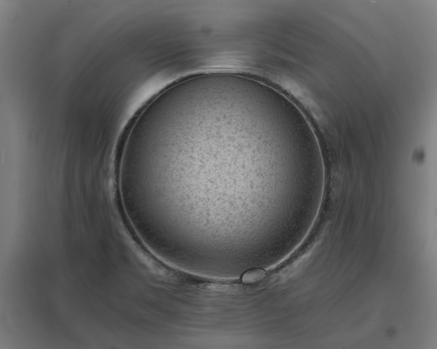 X0000096981469200802151319