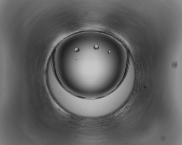 X0000096981471200802151319