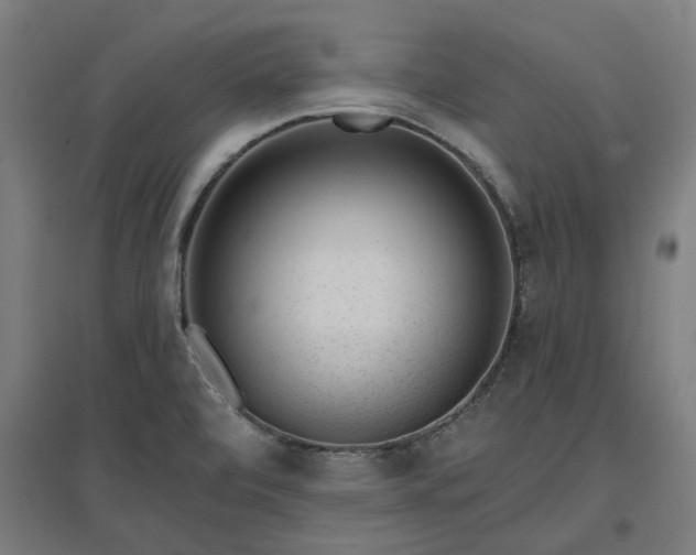 X0000096981472200802151319