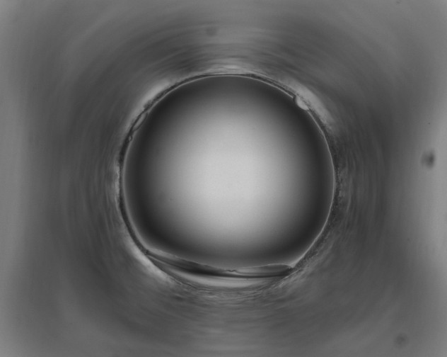 X0000096981476200802151319