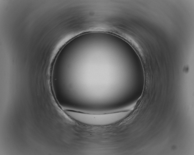 X0000096981480200802151319