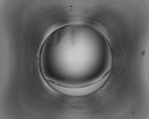 X0000096981483200802151319