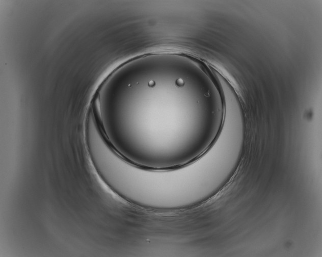 X0000096981484200802151319