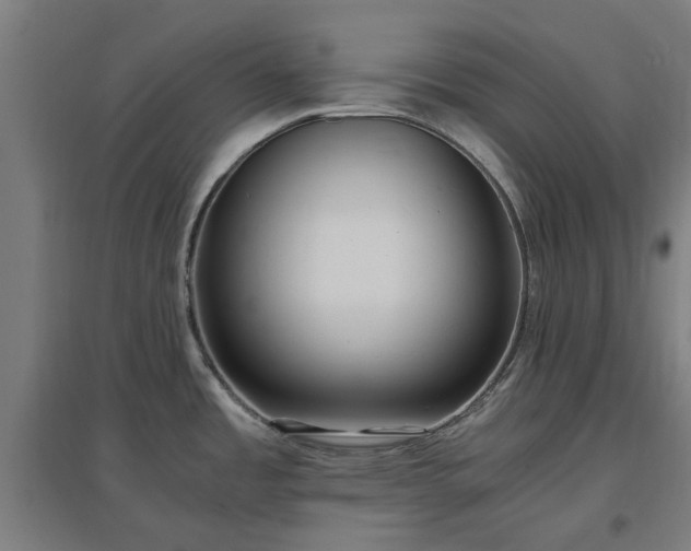 X0000096981485200802151319