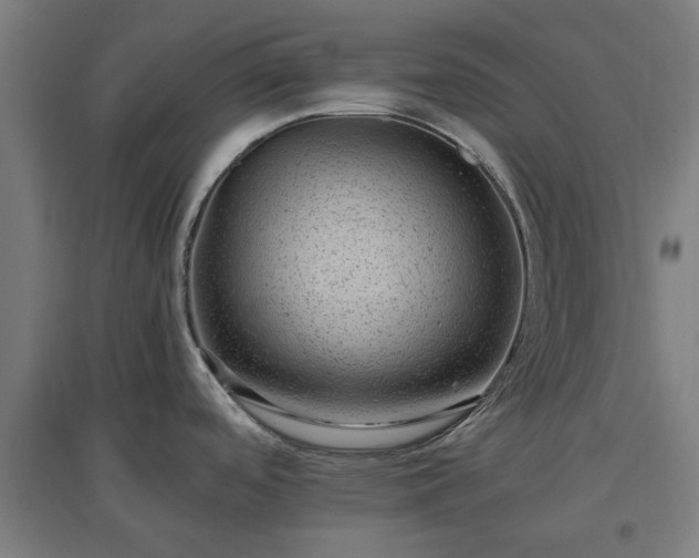 X0000096981488200802151319