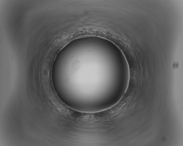 X0000096981489200802151318