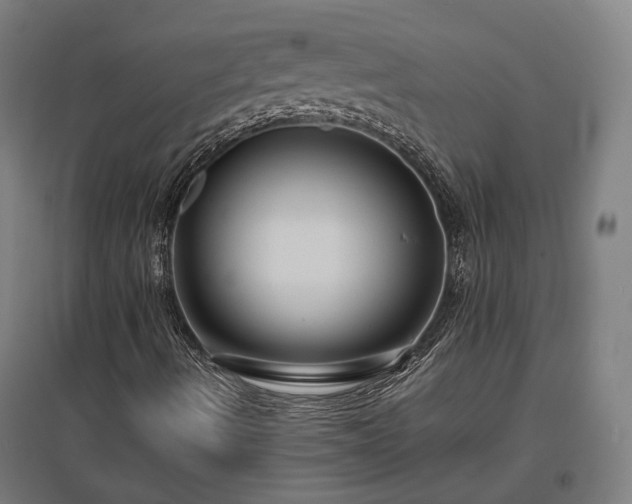 X0000096981490200802151318