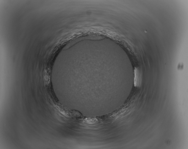 X0000096981491200802151318