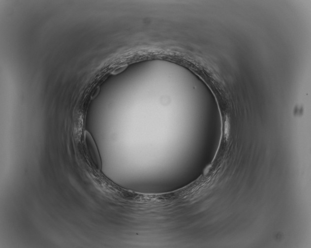 X0000096981492200802151318