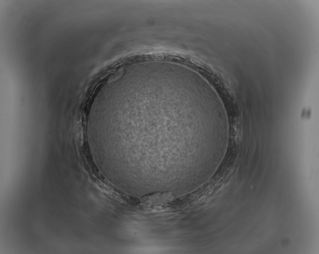 X0000096981493200802151318