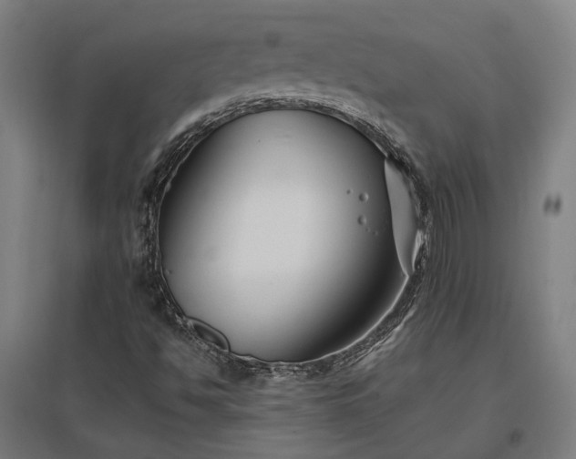 X0000096981494200802151318