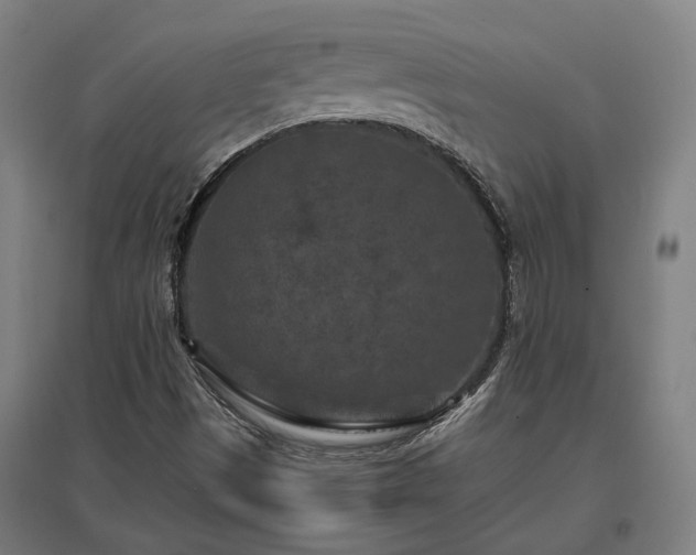 X0000096981497200802151319