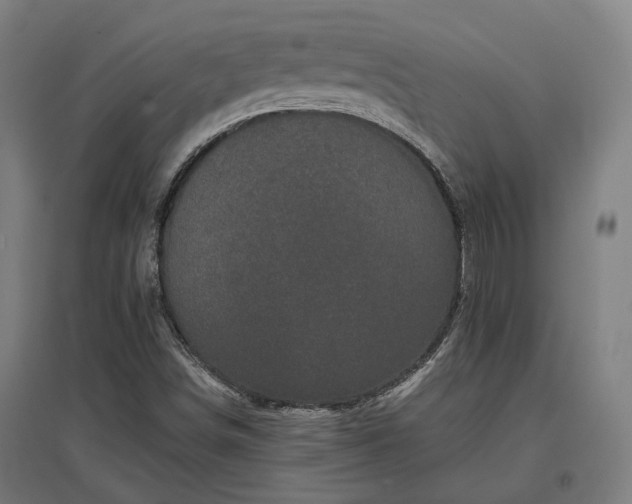 X0000096981498200802151319