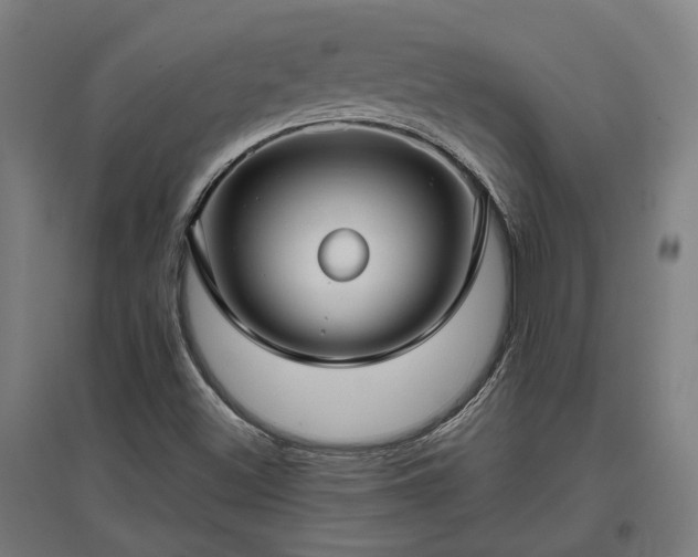 X0000096981500200802151319