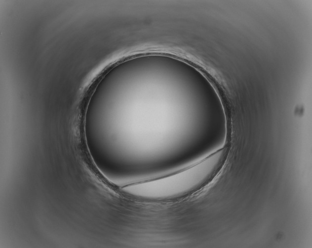 X0000096981502200802151319