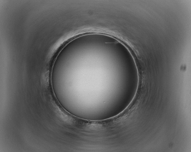X0000096981503200802151319