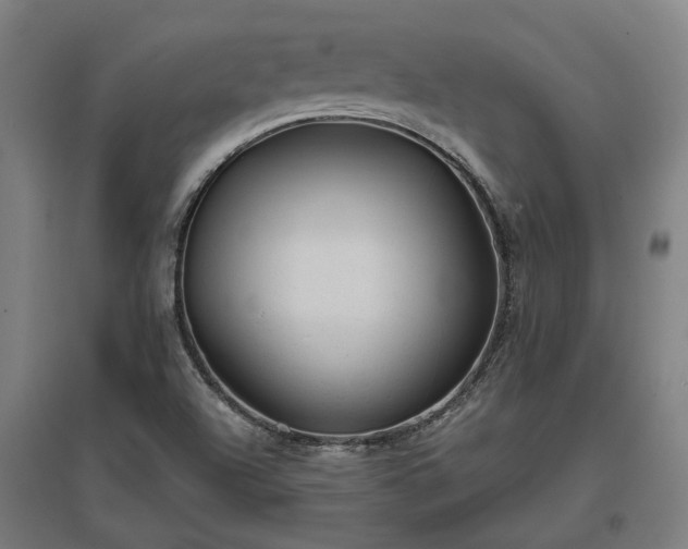 X0000096981504200802151319