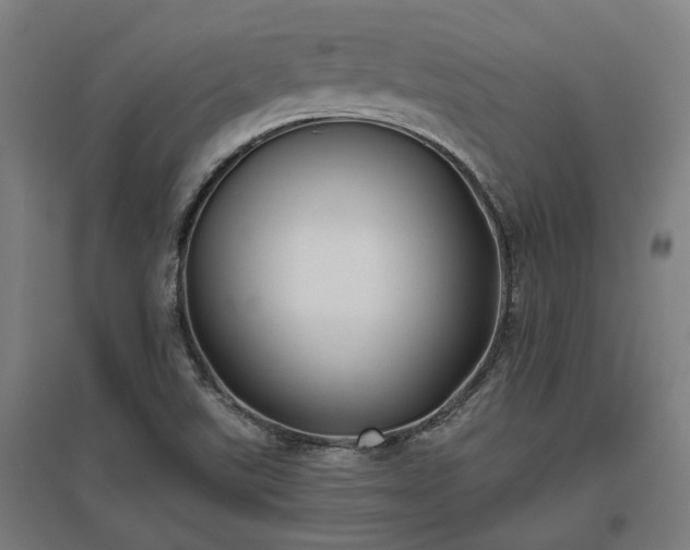 X0000096981507200802151319